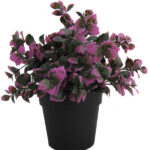 Piantina con Foglia in Pvc Tipo Caladium