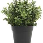 Piantina con Foglie in Pvc Tipo Zelena Eucaliptus