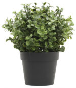 Piantina con Foglie in Pvc Tipo Zelena Eucaliptus