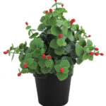 Piantina con Foglie in Pvc Tipo Gaultheria