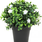 Piantina con Foglie in Pvc Tipo Buxus