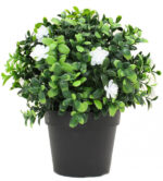 Piantina con Foglie in Pvc Tipo Buxus