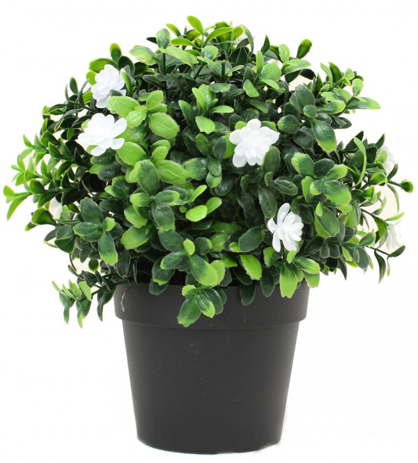 790_68_1 (1) Piantina con Foglie in Pvc Tipo Buxus - immagine 1