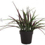 Piantine con Foglia in Pvc Tipo Cymbidium