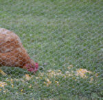 Rete esazinc - immagine 2