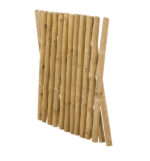 Estensibili - immagine 2