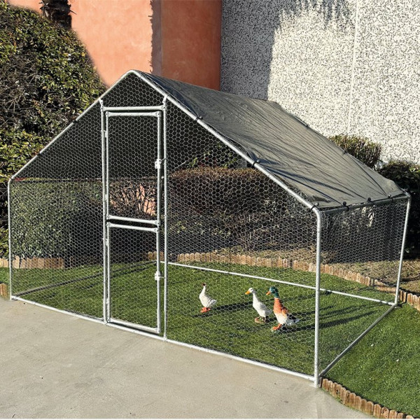 galline Gabbia per polli - immagine 1