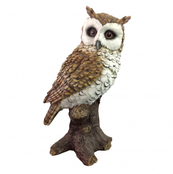 gufo_1 Gufo - immagine 1