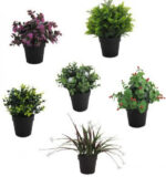 Piantina con Foglie in Pvc Tipo Capelvenere - immagine 2