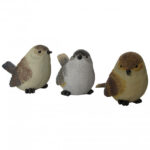 Set 3 uccellini