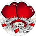 Anna Komitova profile picture