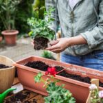 Paletta Da Giardinaggio in Metallo -31 cm - immagine 3